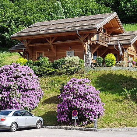 Les Chalets Des Chatelmines La Bresse Exteriér fotografie