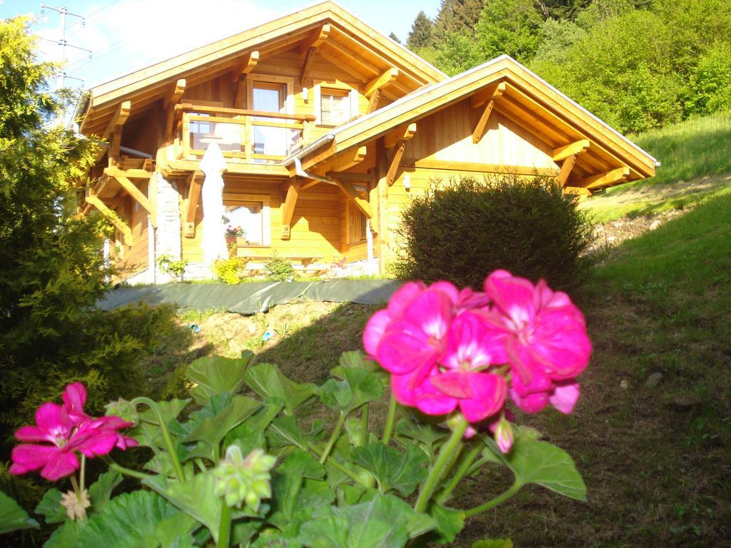 Les Chalets Des Chatelmines La Bresse Exteriér fotografie