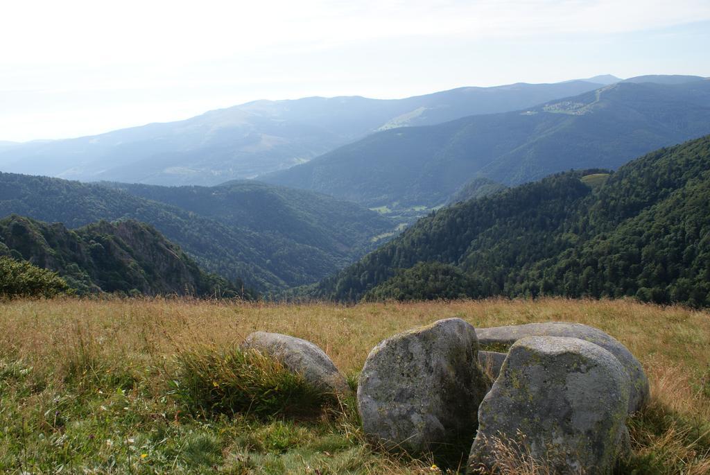 Les Chalets Des Chatelmines La Bresse Exteriér fotografie
