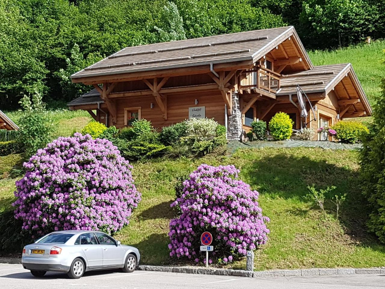 Les Chalets Des Chatelmines La Bresse Exteriér fotografie
